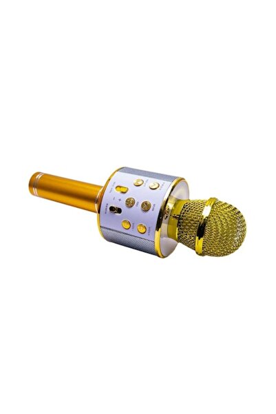 Nebunici Microfon karaoke de jucărie WS-858, reîncărcabil, compatibil cu iOS ...