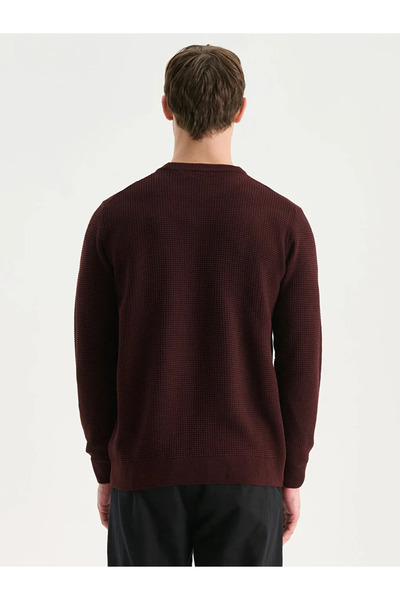 LC Waikiki Ανδρικό πλεκτό πουλόβερ LCW Vision με λαιμόκοψη με καρό σχέδιο