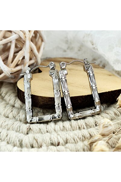 KEVSA Jewelry Stainless Steel Earrings- CM1894
