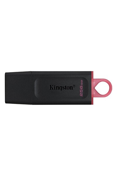 Kingston USB memory 256GB Dt USB 3.2 Gen1