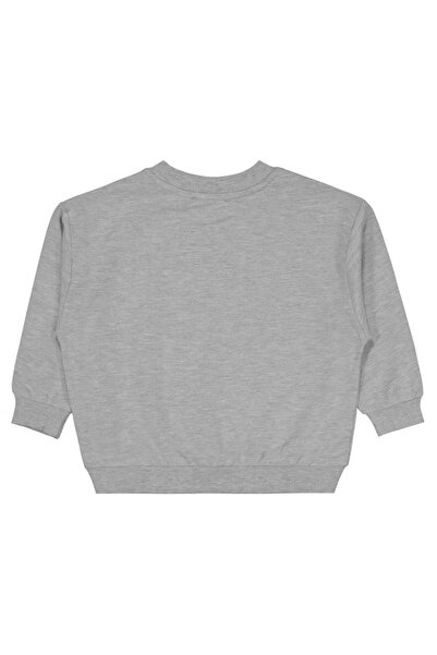 Civil Boys Cvl Team Labeled 2-5 Years Old Sweatshirt - Gray 2-3 Years Old