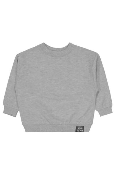 Civil Boys Cvl Team Labeled 2-5 Years Old Sweatshirt - Gray 2-3 Years Old