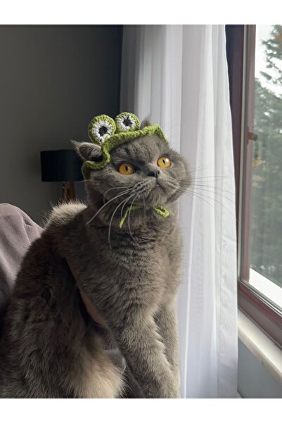 lavantebutik قبعة لطيفة على شكل ضفدع للقطط وإكسسوار للرأس مصنوع يدويًا منسوج ...