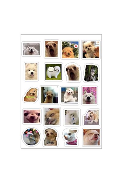 autostickere Set nr. 1 - 20 de autocolante cu câini, 4-5 cm, impermeabile, la...