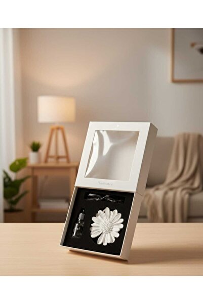 GIFT فواحه مع حجر معطر12حبه