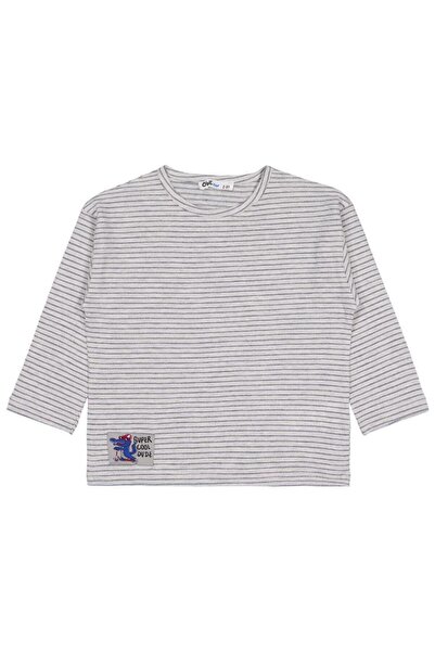 Civil Boys 2-5 Years Old Sweatshirt with Crocodile Label - Gray 2-3 Years Old