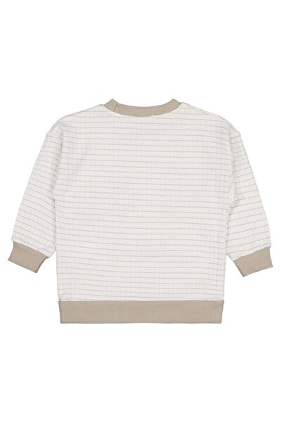 Civil Boys Lion Embroidered Sweatshirt for Ages 2-5 - Beige 5-6 Years