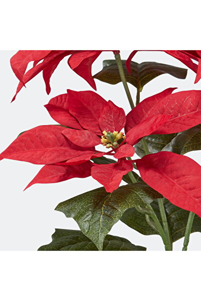 IKEA VINTERFINT Artificial potted plant, in/outdoor Poinsettia/red, 12 cm
