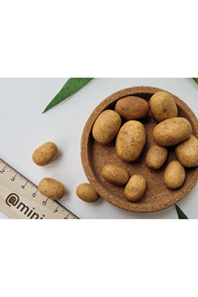 Tasarım PATATES MİNYATÜR FİGÜRÜ MİNİ Boy (1 adet gonderilmektedir)