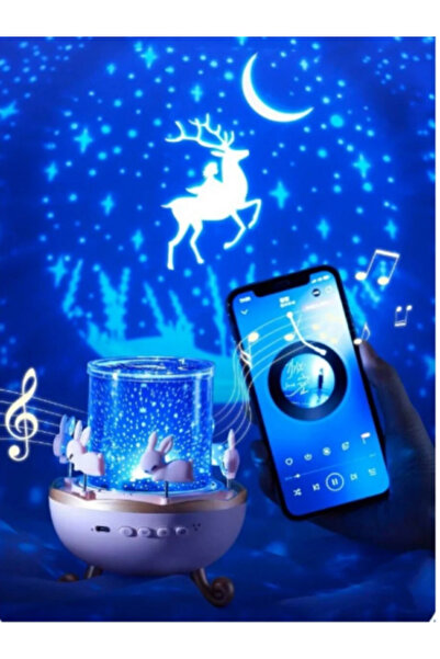 Raicon TAVŞAN MODEL ATLI KARINCA PROJEKSİYON GECE LAMBASI BLUETOOTHLU USB ŞARJLI