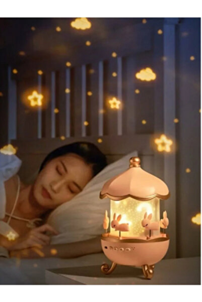 Raicon TAVŞAN MODEL ATLI KARINCA PROJEKSİYON GECE LAMBASI BLUETOOTHLU USB ŞARJLI