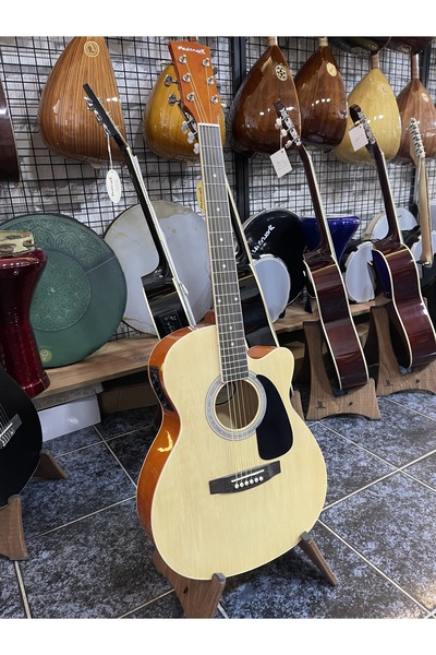 MASTERWORK Elektro Akustik Gitar
