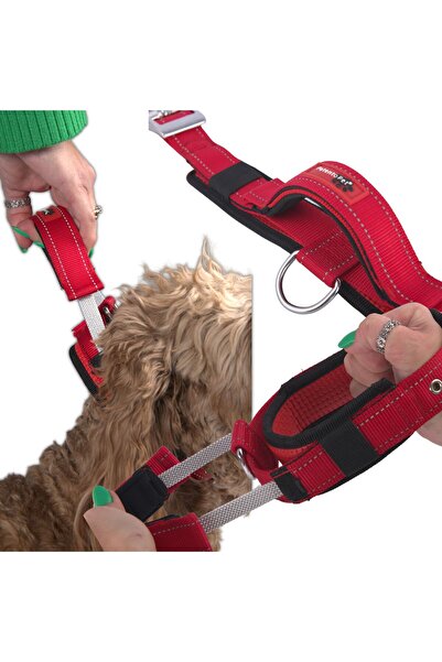 Other Zgardă de dresaj pentru câini cu mâner și lesă scurtă