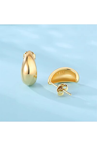 delis Σκουλαρίκια από ασήμι 925, JW1671, μοντέλο σταγόνας, επιχρυσωμένα με χρυσό