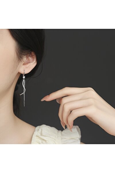 delis Μακριά σκουλαρίκια από ασήμι 925, JW1613, σχέδιο με πέτρες, επιπλατινωμένα με ρόδιο