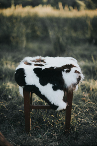 Ariela Sebis White spotted fur