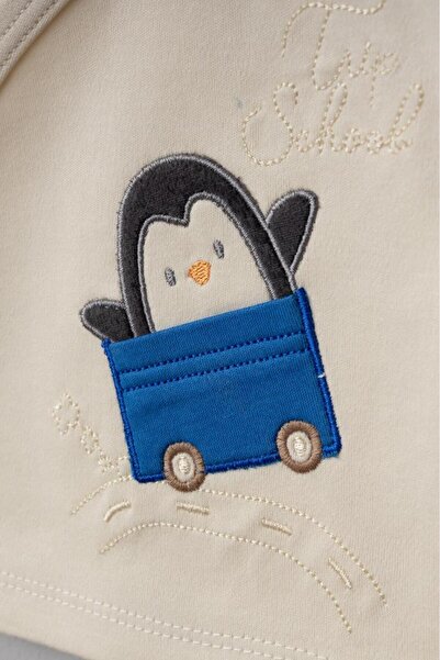 Bebitof 100% Cotton Trolley Penguin Patterned 10 Piece Boxed Newborn Hospital Discharge Set Bbtf.Mv.100