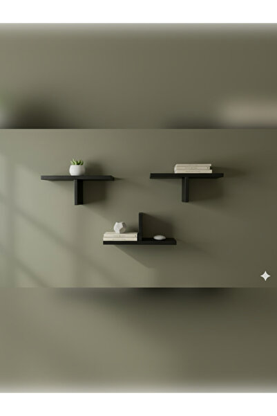 VEO STORE 3 Pieces Modern Wall Shelf