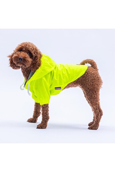 Pettrend Neon Sarı Mont Köpek Mont Köpek Kıyafeti Köpek Yağmurluğu(Küçük ve Büyük Irklar İçin)