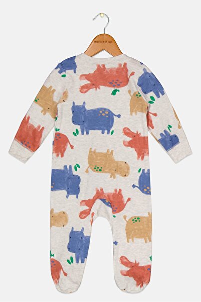 Carter's Toddlers Boy Graphic Printed Bodysuit, Grey Combo