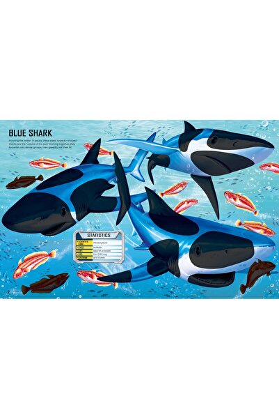Usborne Build Your Own Sharks