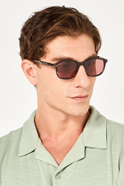 Police Men SPLL81M Square Sunglasses, Brown