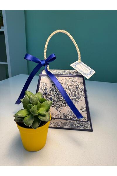 FİDAN PAZARI NİŞAN SÖZ HEDİYELİĞİ SAPLI ÇANTA VE SUKULENT MAVİ RENKLİ MODEL(2...