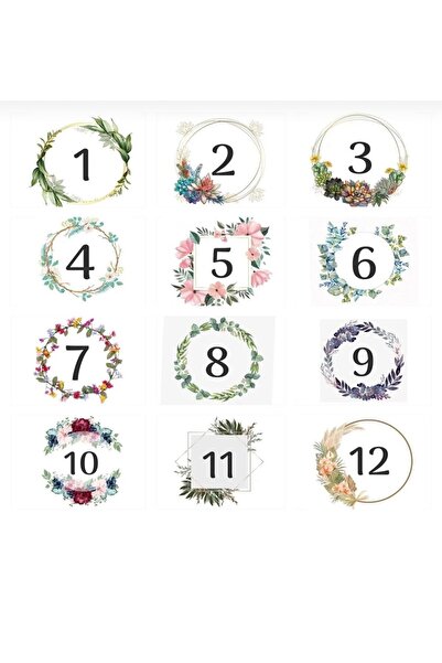 FİDAN PAZARI NİŞAN SÖZ HEDİYELİĞİ TIRTIKLI MODEL BETON SAKSILI SUKULENT (20 ADET)