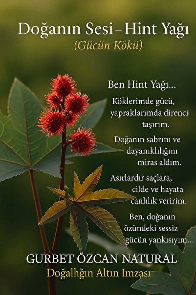 gurbet özcan natural Hint Yağı %100 Saf Doğal Seyreltilmemiş 50ml (Castor Oil)