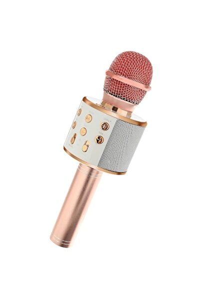 OEM Deliny Wireless Karaoke Microphone, Pale Pink
