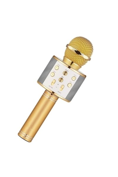 OEM Boxă karaoke cu microfon, Bluetooth, funcție de schimbare a vocii, autono...