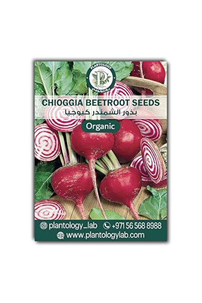 Generic Chioggia Beetroot Seeds for Planting – Heirloom Red Beet Seeds for Ho...