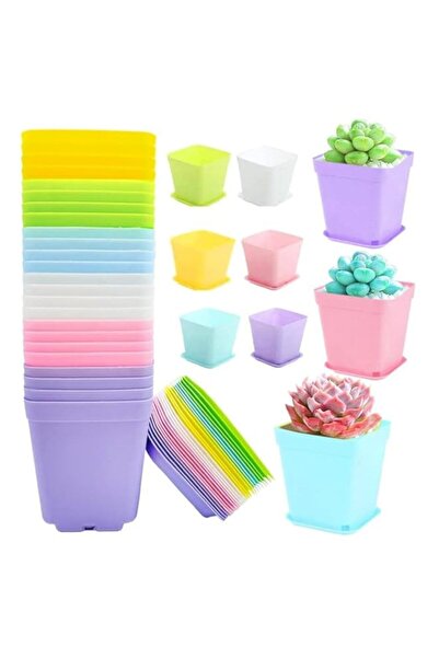 Generic Goodern 30 Pack Colorful Plastic Plant Pot,Plastic Square Nursery Pot...