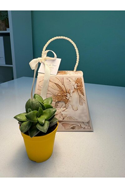 FİDAN PAZARI NİŞAN SÖZ HEDİYELİĞİ SAPLI ÇANTA VE SUKULENT (KARIŞIK DESENLİ)(20 ADET)