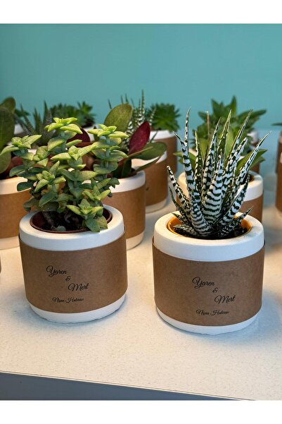 FİDAN PAZARI NİŞAN SÖZ HEDİYELİĞİ SİLİNDİR ÜZERİNE KRAFT İSİMLİK KAPLAMA MODEL BETON SAKSILI SUKULENT (20 ADET)