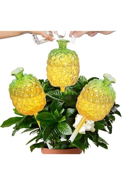 Generic Plant Watering Globes Large Capacity Self Watering Planter Insert for...