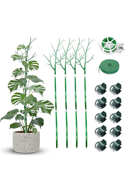 Generic Angju 4 Pack 100cm Detachable Twig Plant Support Stakes Set, Blends i...