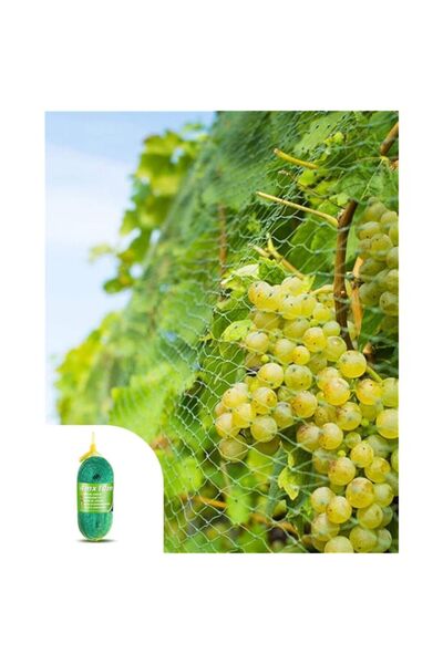 Generic 4x10 m Flower Net Protect Plants Garden Netting Green Anti Bird Prote...