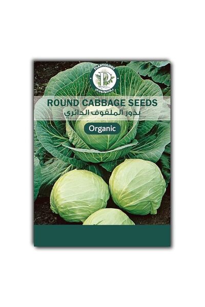Generic Round Cabbage Seeds for Planting – Heirloom Vegetable Seeds for Home ...