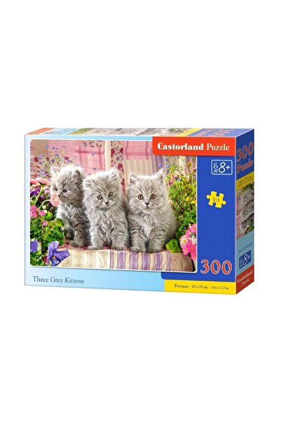 Castorland Puzzle 300 piese Trei Pisicuțe Gri 30330