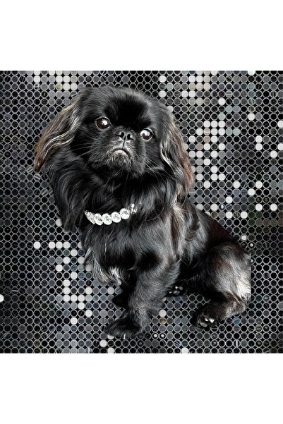 Bobo Pet Kristal Taşlı Kolye