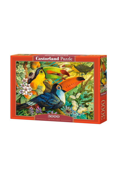 Castorland Puzzle 3000 piese Interlude 300433