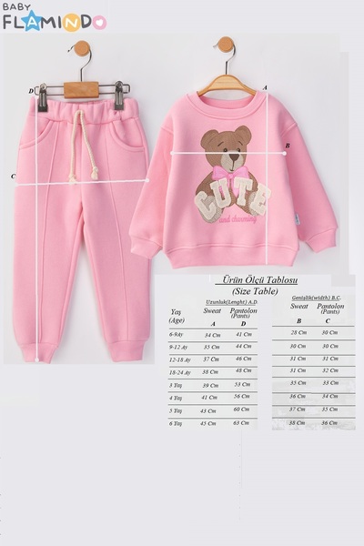 baby flamindo Cute Embroidered Bear Printed 3-Thread Girls' Set