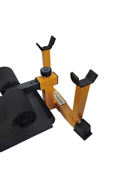 Vulkan VULKAN® Multifunctional Adjustable Sissy Squat, Knee Bends, Biceps, Abdominal Bench