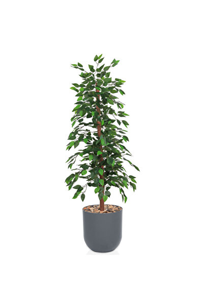 co arma 155cm Artificial Ficus Tree that mimics a real tree in shape and texture