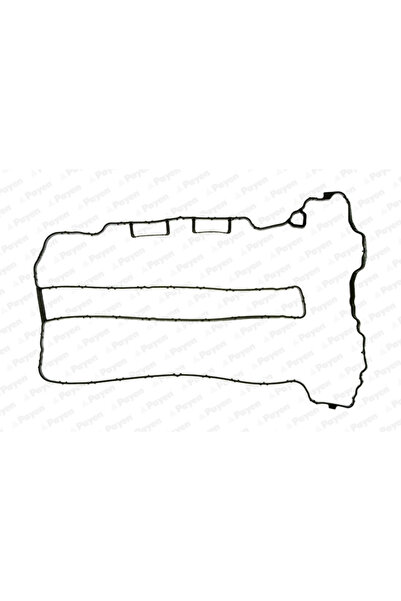 PAYEN Garnitura Capac Supape Holden Barina Opel Agila/Astra G/Astra H