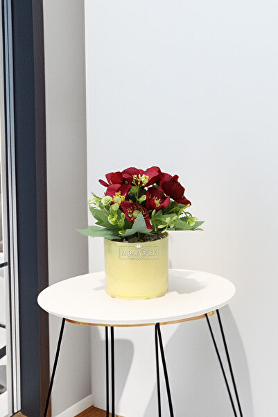 Yapay Çiçek Deposu Yellow Cobalt Ida Artificial Glass Beautiful Flower Red 20 cm