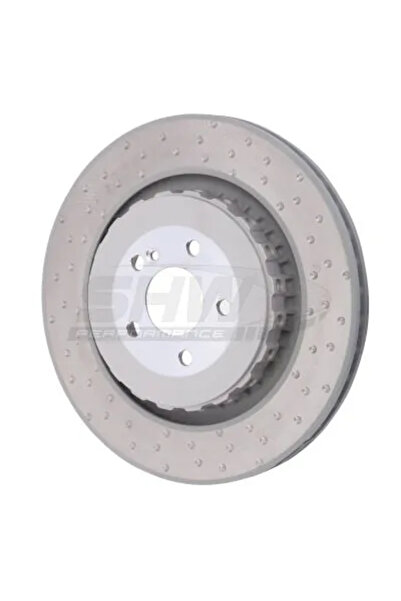 SHW Performance Disc Frana Puntea Spate Mercedes-Benz S-Class