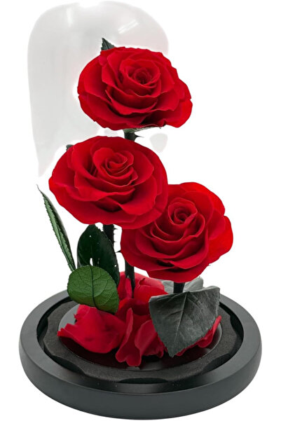 B&D B&D Décor Flower Glass Tube with 3 Red Roses