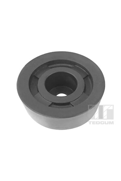 TEDGUM Rulment Diferential Puntea Spate Nissan 10-Trail 1